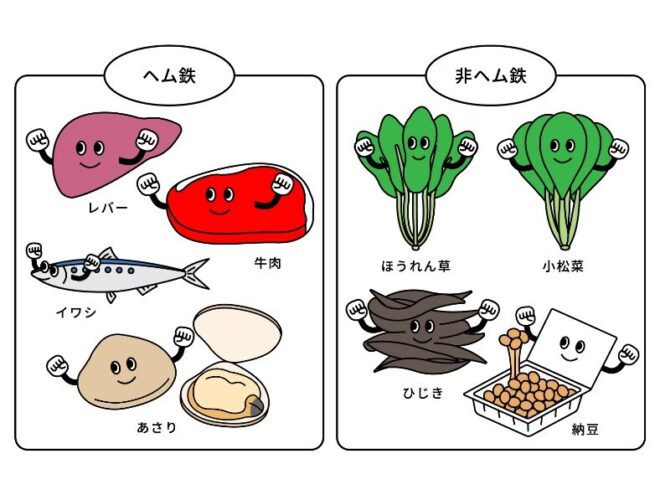 鉄分を多く含む食材の図