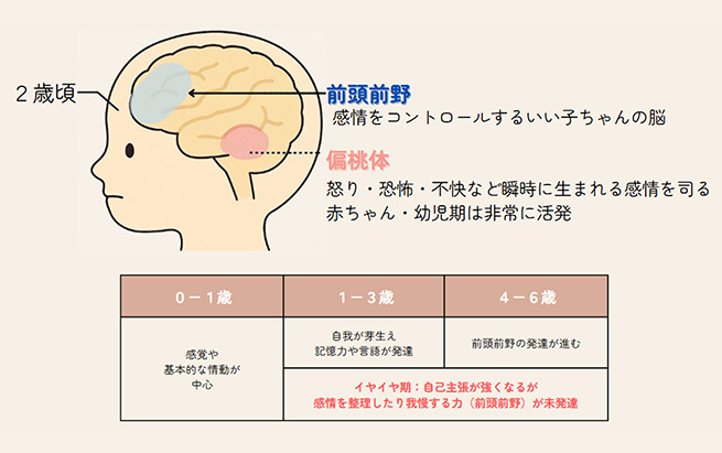 イヤイヤの原因